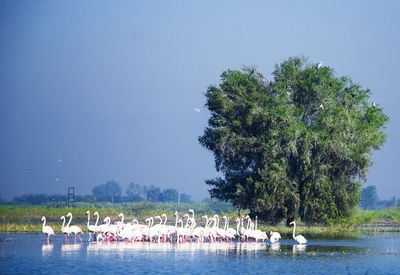 People by boats in sea against sky