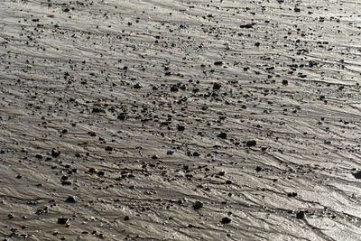 High angle view of tire tracks on sand