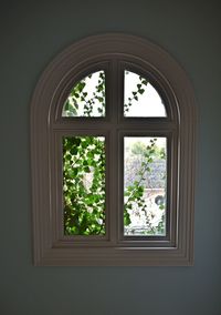 Trees seen through window