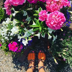 Low section of woman standing on flower
