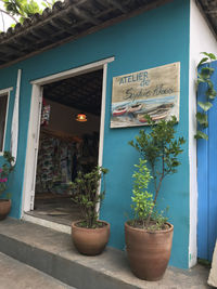 Potted plants outside building