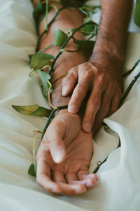 Close-up of hand holding plant