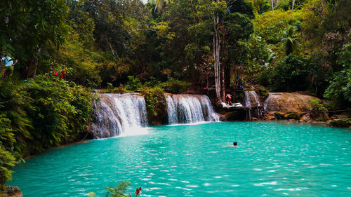 Scenic view of waterfall in forest