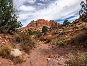 Scenic view of landscape against cloudy sky