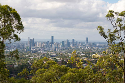 Trees and buildings in city against sky