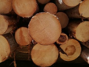 Full frame shot of logs in forest