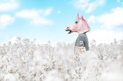 Unicorn in white flowers field