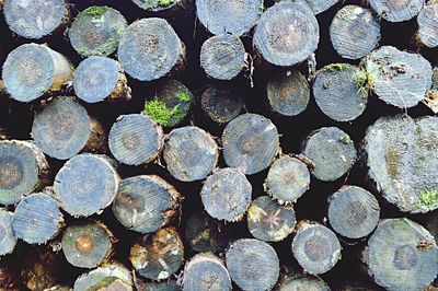 Full frame shot of logs