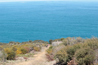 High angle view of trees by sea against sky