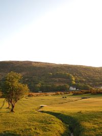 Scenic view of landscape against clear sky