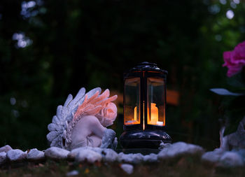 Close-up of illuminated flower plants in winter