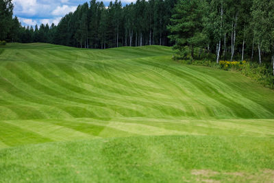 Scenic view of golf course