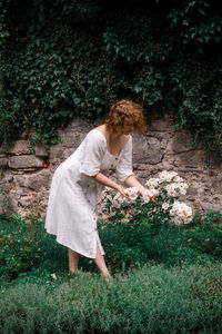 Woman picking white roses in garden 