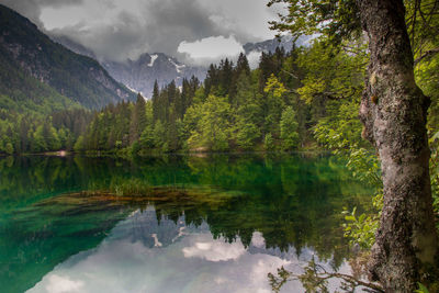 Scenic view of lake by trees against sky