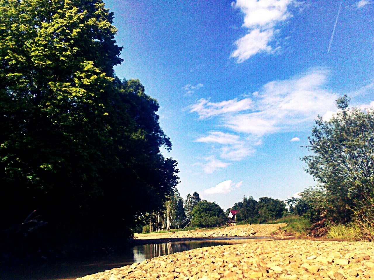 tree, sky, blue, tranquility, sunlight, tranquil scene, growth, nature, the way forward, beauty in nature, railing, cloud - sky, day, scenics, cloud, outdoors, shadow, no people, landscape, footpath