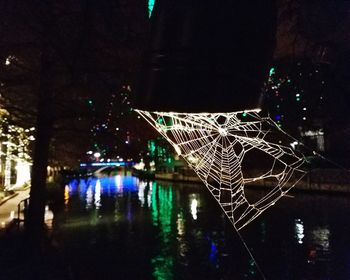 Reflection of illuminated trees in water at night