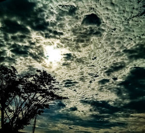 Low angle view of tree against sky