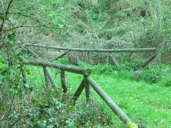 Metallic structure on field in forest