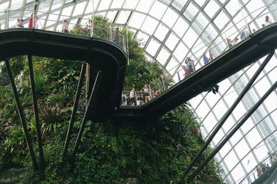 Low angle view of trees seen through glass window