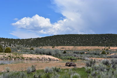 Scenic view of field against sky