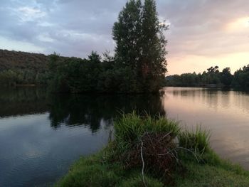 Reflection of trees in calm lake