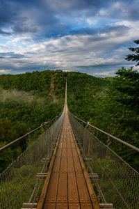 Footbridge amidst trees against sky