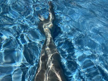 Low section of woman swimming in water