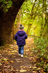 Rear view of person walking in forest