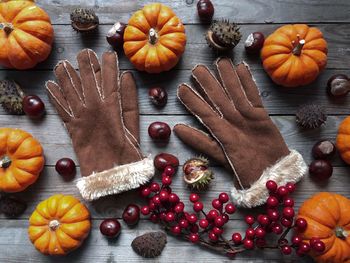 Directly above shot of gloves with pumpkins