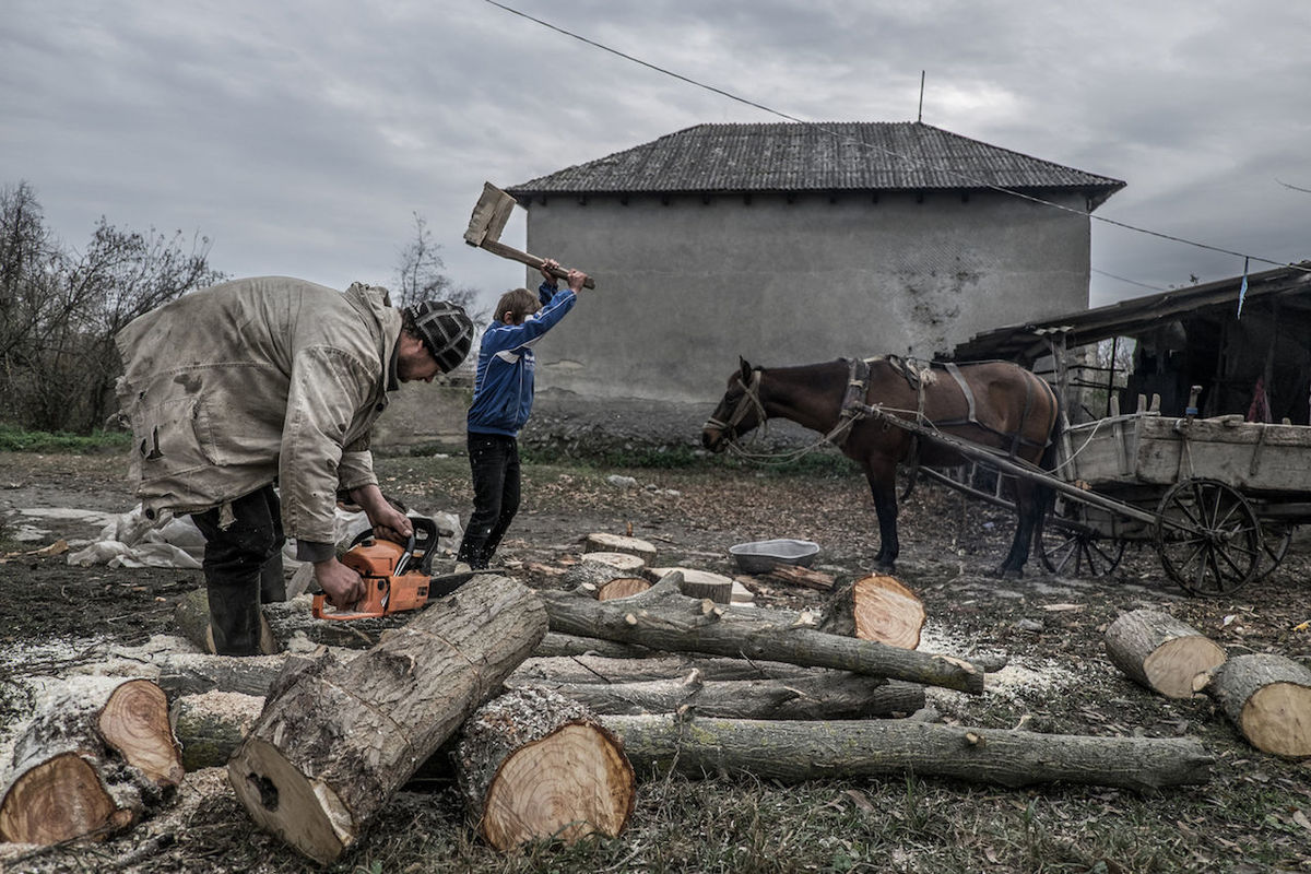 domestic animals, livestock, horse, real people, occupation, working, mammal, men, two people, field, outdoors, agriculture, farmer, day, full length, lifestyles, one animal, standing, manual worker, sky, farm worker, architecture, adult, people