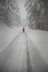 Photographer wealking over snowy road