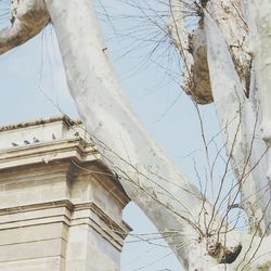 Low angle view of built structure