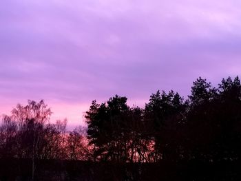 Low angle view of silhouette trees against sky at sunset