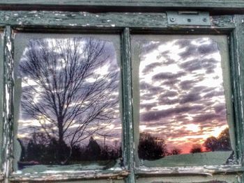 Trees against sky at sunset