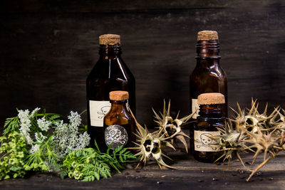 Plants in glass container on table against black background