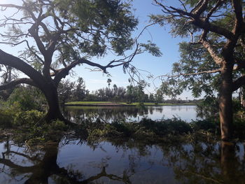 Scenic view of lake by trees against sky