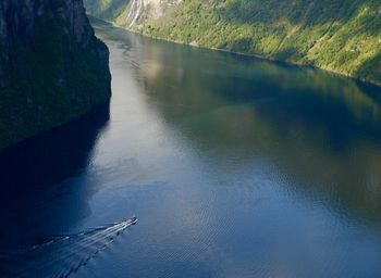 High angle view of river amidst trees
