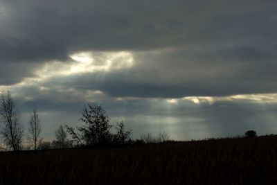 Silhouette trees on field against dramatic sky