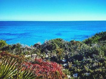 Scenic view of sea against clear sky