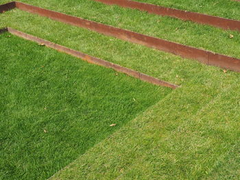 Full frame shot of agricultural field