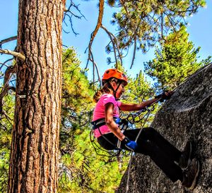 Low angle view of smiling woman rockclimbing by tree against sky