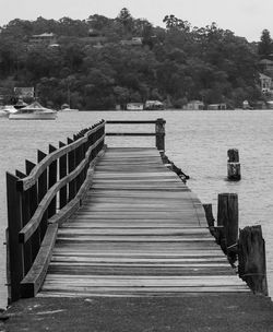 Empty footpath by railing against trees