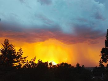 Silhouette trees against dramatic sky during sunset