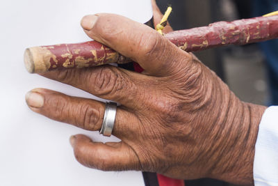 Cropped hand holding wood