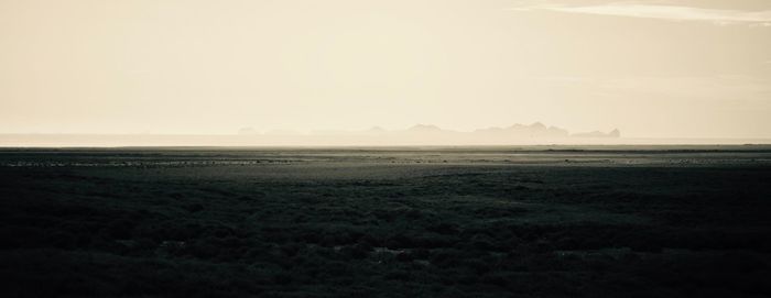 Scenic view of field against clear sky