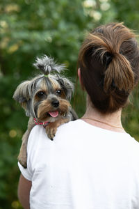 Close-up of dog