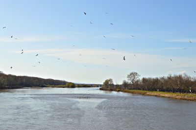 Birds flying over lake against sky