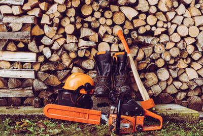 Stack of logs in forest