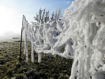 Snow covered field against sky