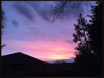 Silhouette of trees at sunset